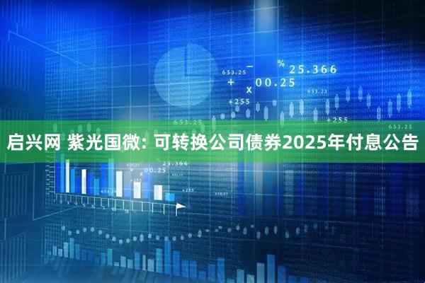 启兴网 紫光国微: 可转换公司债券2025年付息公告