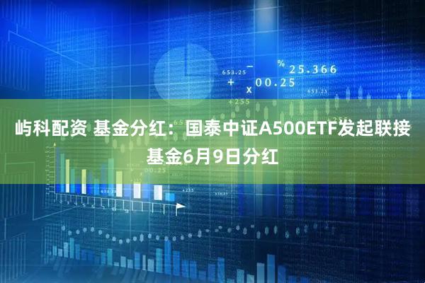 屿科配资 基金分红：国泰中证A500ETF发起联接基金6月9日分红