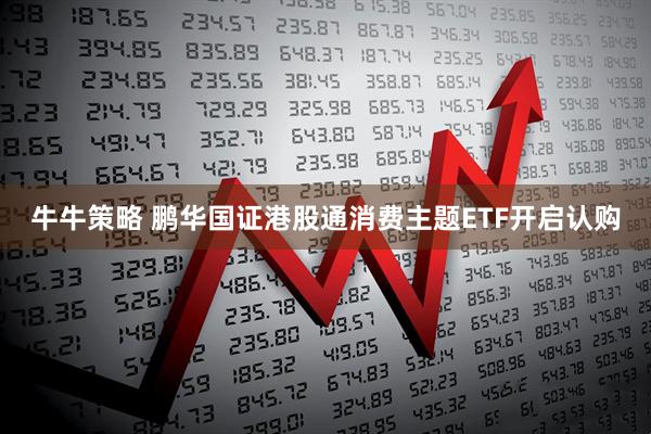 牛牛策略 鹏华国证港股通消费主题ETF开启认购