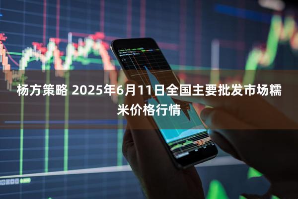杨方策略 2025年6月11日全国主要批发市场糯米价格行情
