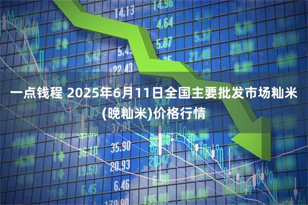 一点钱程 2025年6月11日全国主要批发市场籼米(晚籼米)价格行情