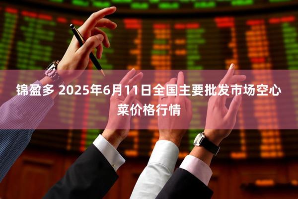 锦盈多 2025年6月11日全国主要批发市场空心菜价格行情