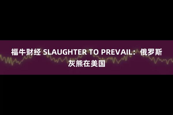 福牛财经 SLAUGHTER TO PREVAIL：俄罗斯灰熊在美国