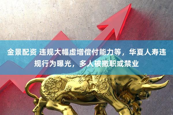 金景配资 违规大幅虚增偿付能力等，华夏人寿违规行为曝光，多人被撤职或禁业