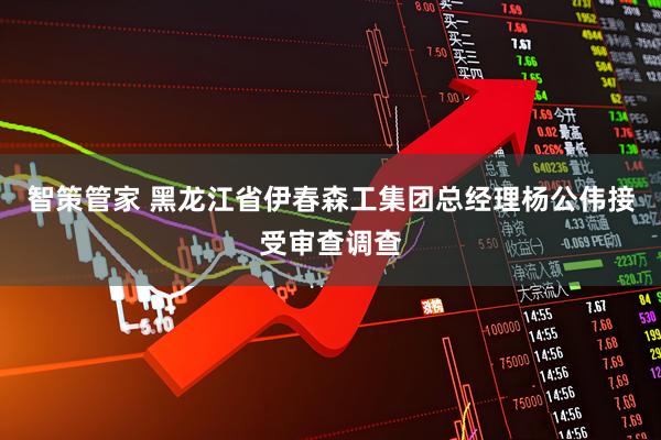 智策管家 黑龙江省伊春森工集团总经理杨公伟接受审查调查