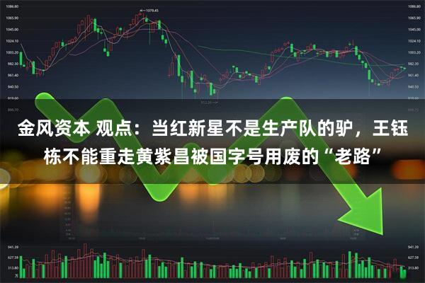 金风资本 观点：当红新星不是生产队的驴，王钰栋不能重走黄紫昌被国字号用废的“老路”